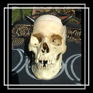 Set Of Wearable Horns
